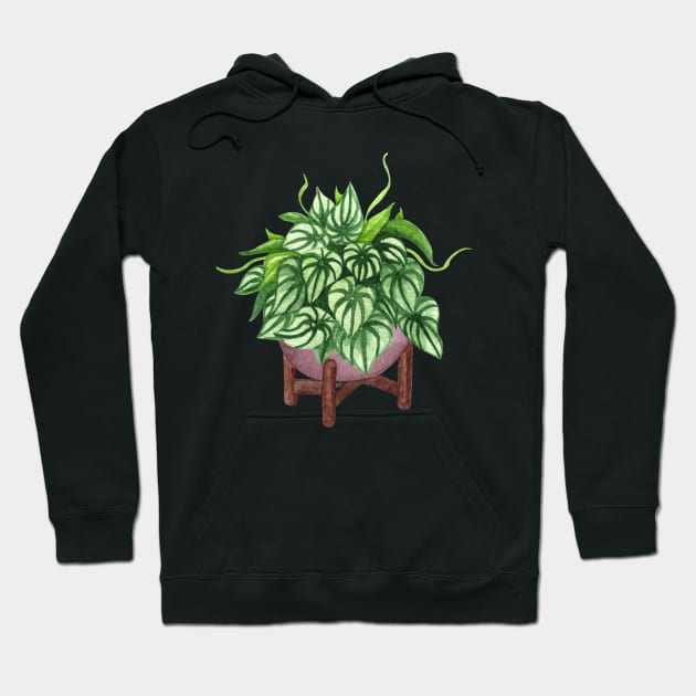 Peperomia argyreia watermelon Hoodie by gronly